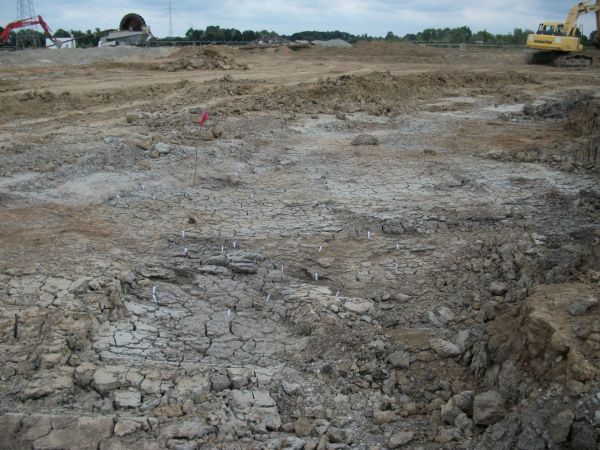 Überschwemmung als Glücksfall – Ein über 2000 Jahre alter naturheiliger Platz in Delbrück-Bentfeld